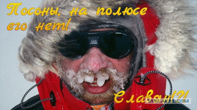 У меня грустные новости для соЯПовца. Слава Новиков тут есть?