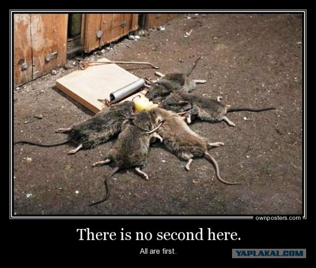 Коллекторы грозят устроить показательную казнь матери 2 детей