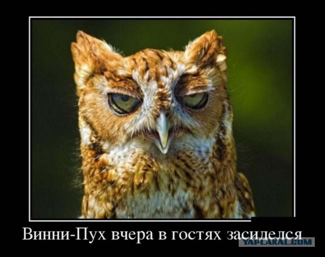 Очередная подборка картинок из сети