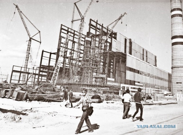 1981 год в СССР