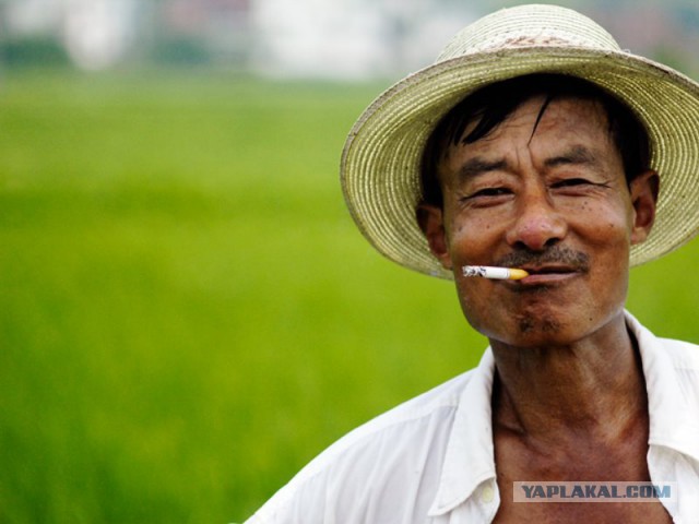 Взбесившийся бур