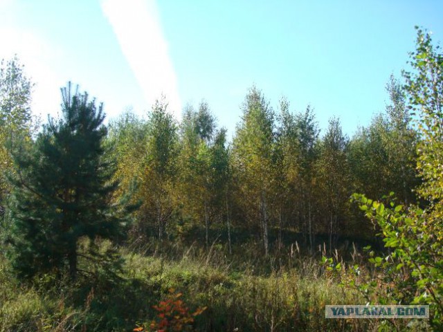 Вот оно какое наше лето!