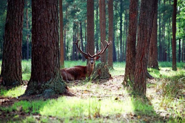 Живу у моря