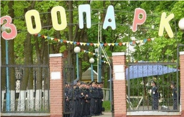 Улыбнемся?