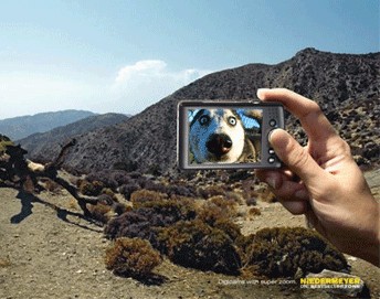 Фотожаба: Super Zoom