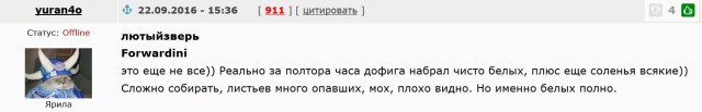 Футбол Чемпионат России 2016-17. Кубок России,РФПЛ,ФНЛ. Часть  III