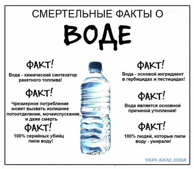 44 интересных факта в картинках