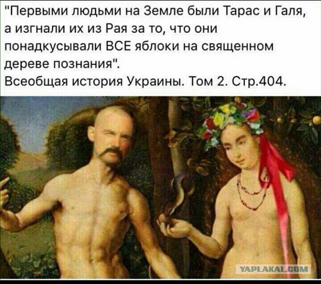 Реакция "Братского" народа на убийство посла