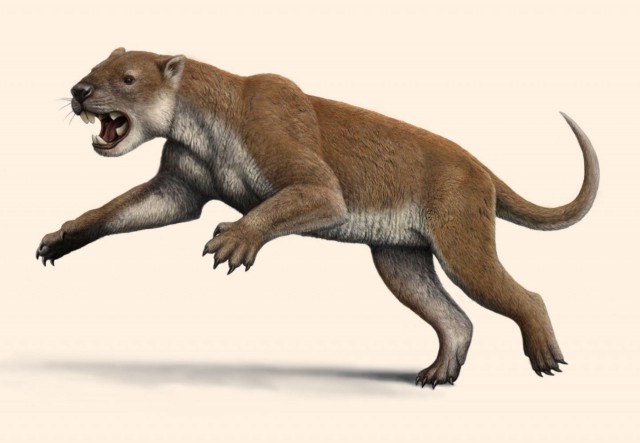 Мегафауна: 10 невероятных созданий доисторической Австралии