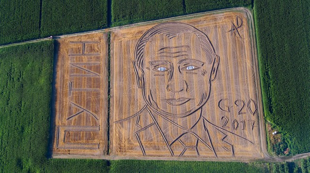 Подборка интересных и веселых картинок
