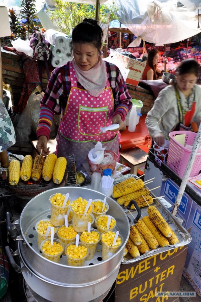 Чианг Май. Жемчужина Севера.
