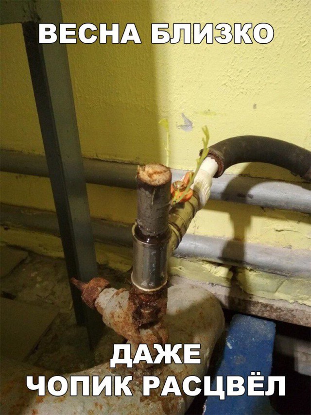 Чутка юмора в картинках