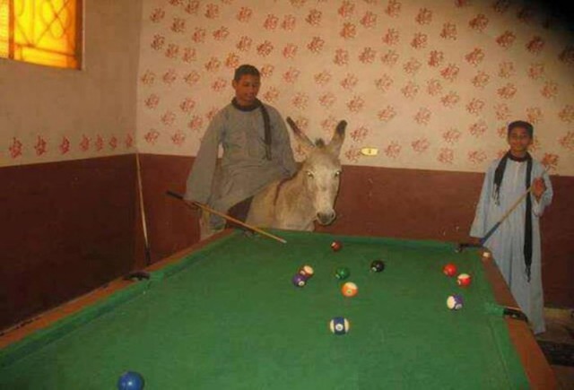 Фото, на которых все могло бы быть нормально, если бы не одно но...