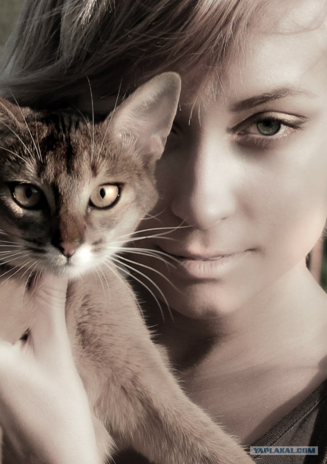 Котовторник 29.05.2012