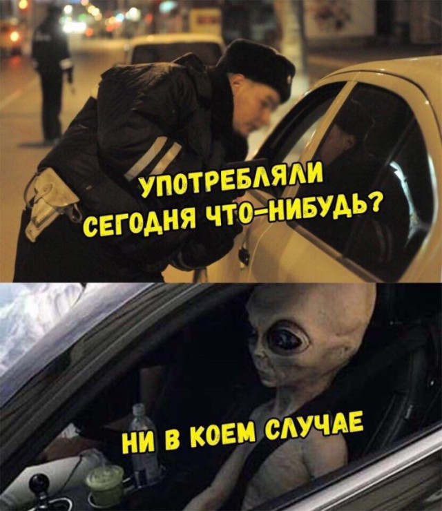Немного картинок перед сном