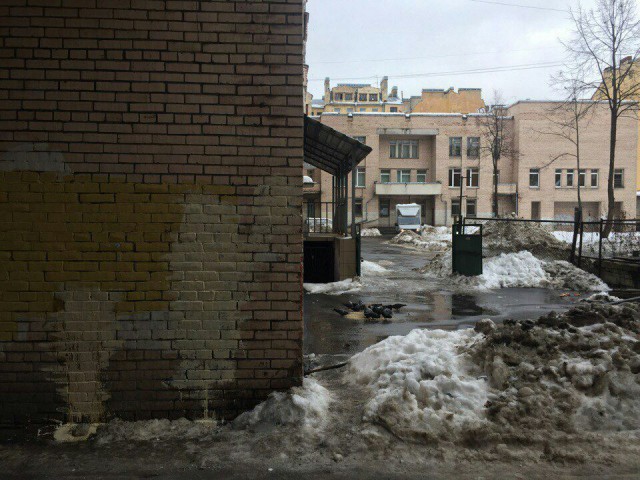 Питерские коммунальщики закрасили граффити с девочкой, у которой отобрали шарик...