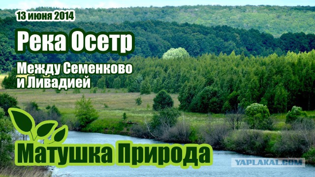 Московские власти призвали горожан временно отказаться от ловли осетров в Москва-реке