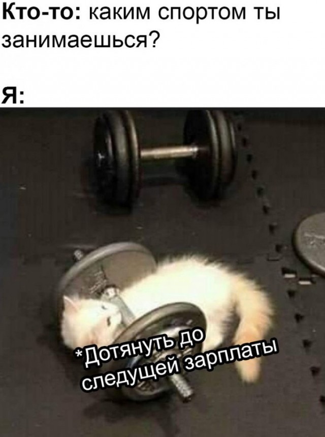 Немного картинок в этот понедельник - 22.07.19