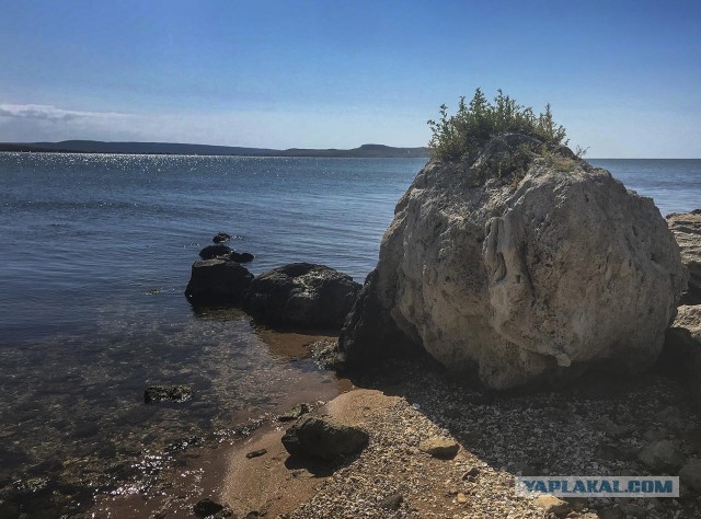 "Дикий" отдых в Крыму