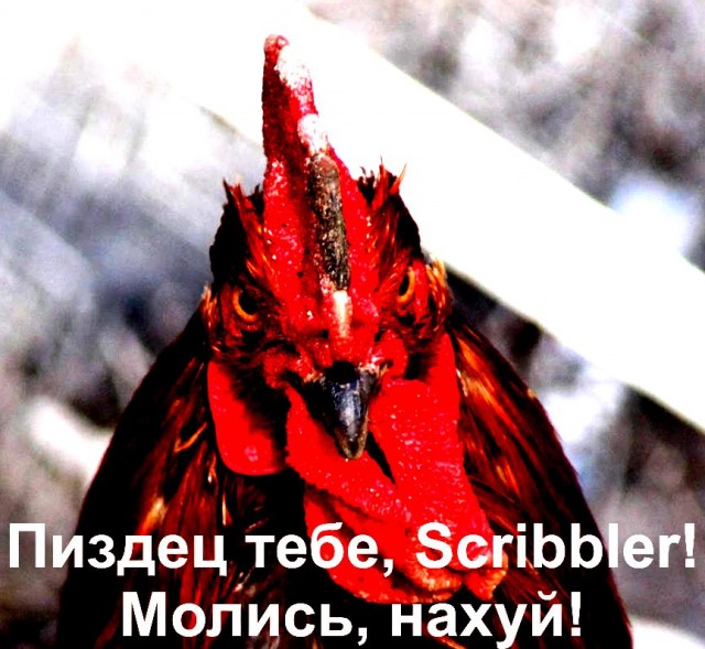 Прелести жизни разведенки