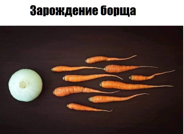 Чуток картинок 14.10.19