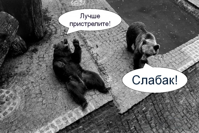 Порно модель Stacy Starando: Не называйте меня шлюхой!