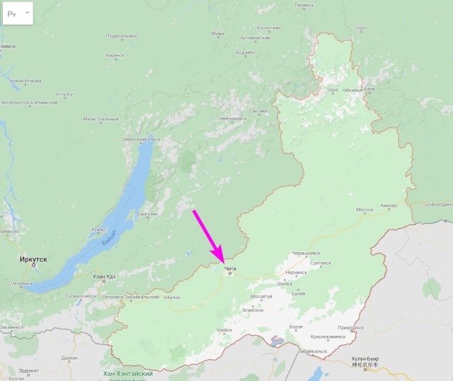 В Чите девочка разработала целую операцию, чтобы спасти кота с дерева