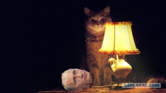 Большое выступление Путина по ситуации с коронавирусом. Прямая трансляция