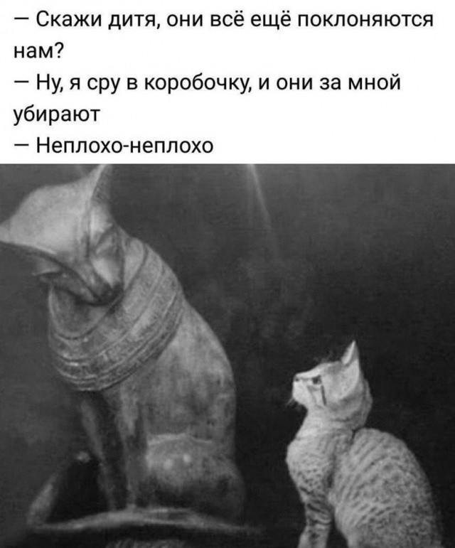 Немного картинок в эту необычную пятницу