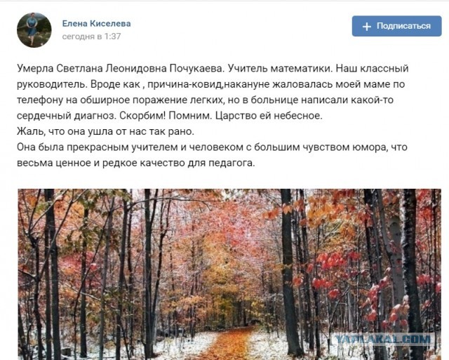 Пандемия. Коронавирус. Россия и мир. Последняя информация. Часть 19