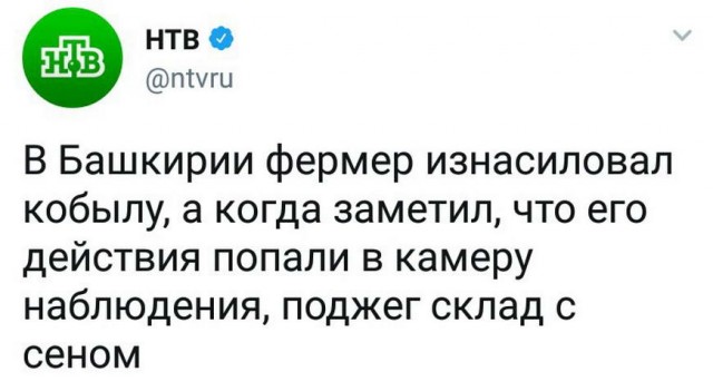 Праздничные маразмы преследуют нас