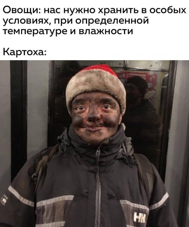 Тук тук тук! это деградация нах...