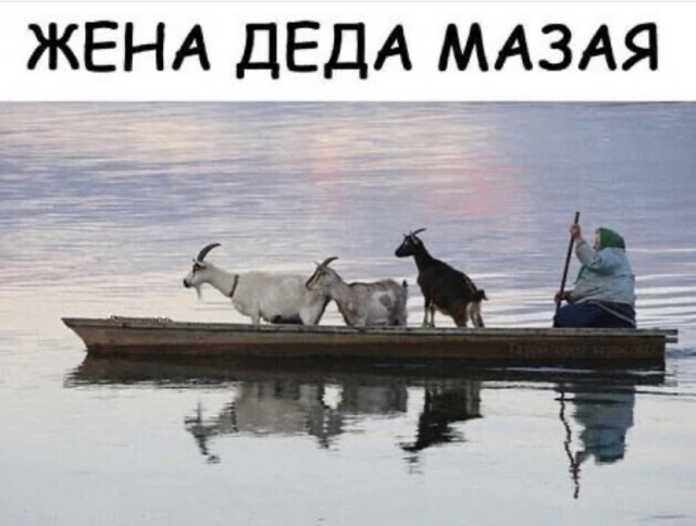 Так себе картинки 08.11.21
