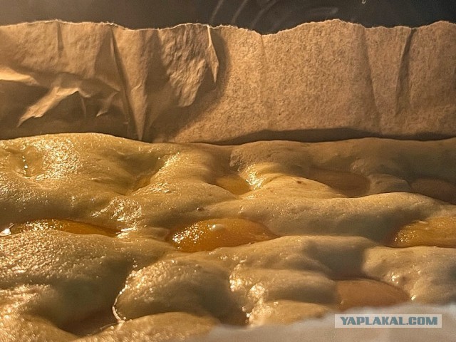 Быстро-вкусно: пирог на сметане с персиками