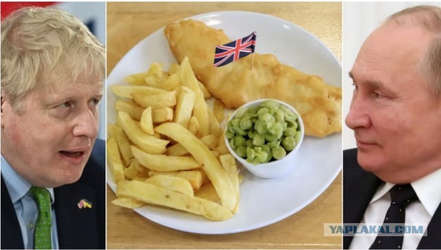Фиш-энд-Чипс опасносте! Как выясняется, половина (!) национального символа Англии поставляется из…России