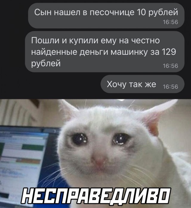 Весёлый полтишок 14.06.22