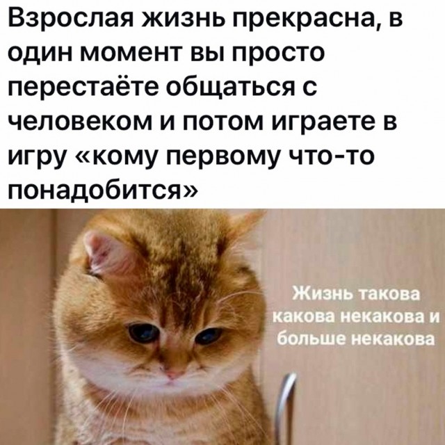Картинки и мемы для настроения - 27
