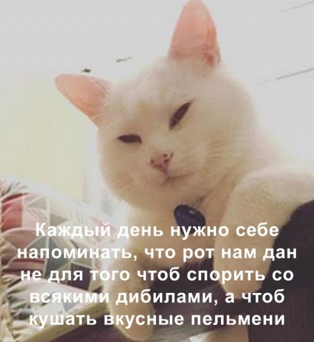Картинки и мемы для настроения - 009