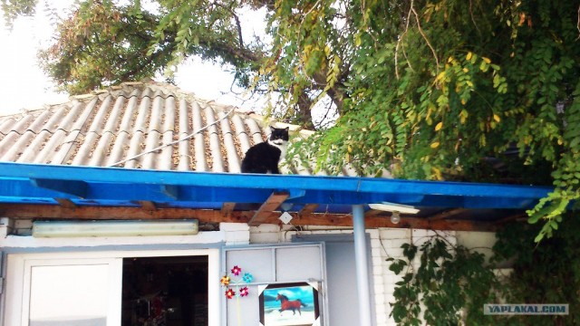 Осенний Коктебель