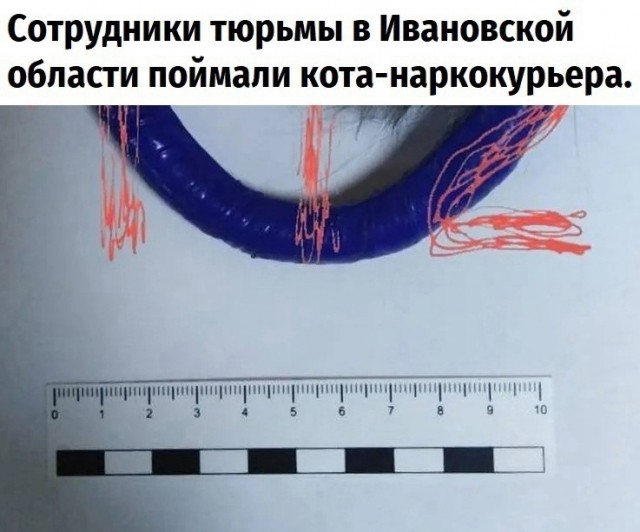 Так себе картинки 19.11.22