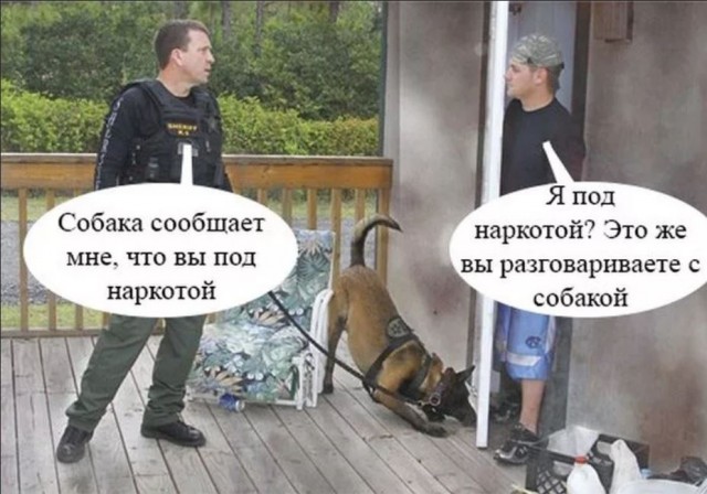 Победная поступь идиотизма по планете – том 8