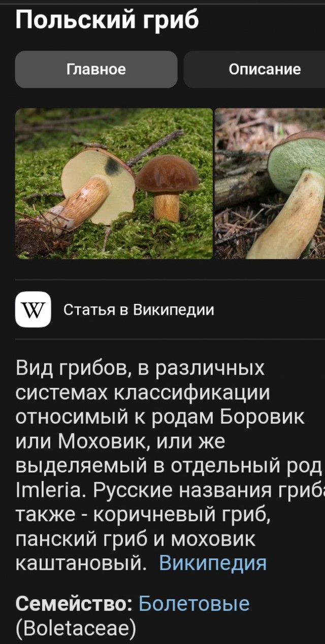 Ценность женщины глазами мужчины
