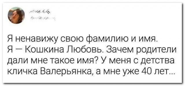 Забавные комментарии из социальных сетей (05.02.24)