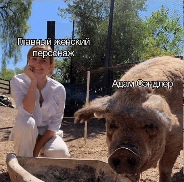 Народная меДИЧина 1033