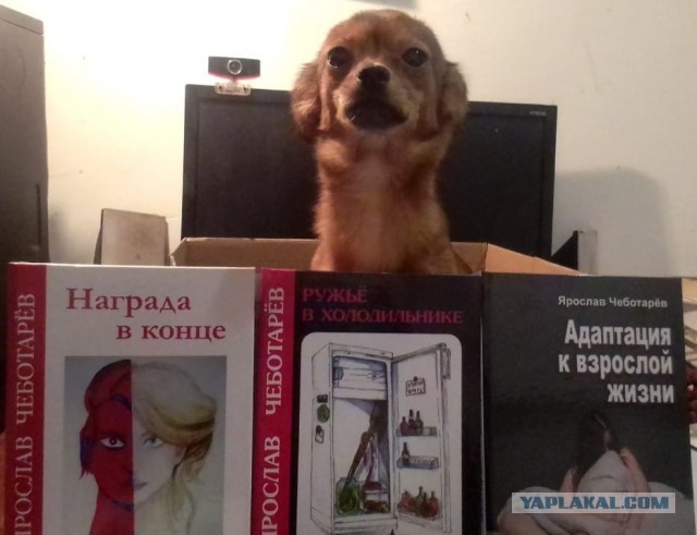 Последнее нарушение дисциплины...