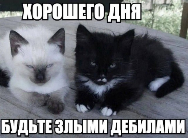 Всего понемногу. От 08.07