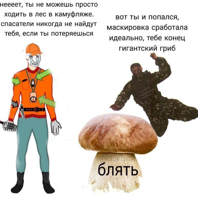 Ретроградный меркурий (Бояны)
