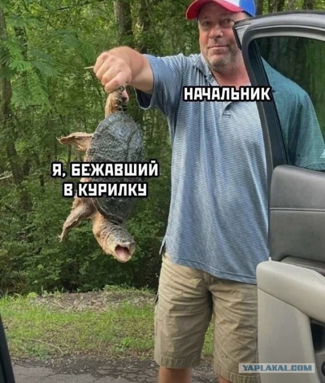 Картинки разные с надписями и без