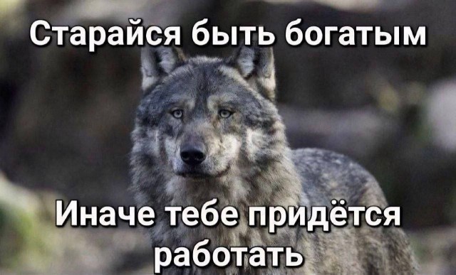 Товарищи! Держим строй. Не идем работать за фиговую зарплату