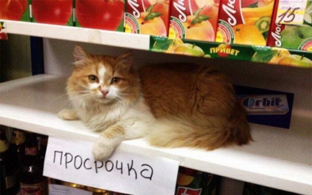 Прикольные и просто красивые картинки 04.10.2024